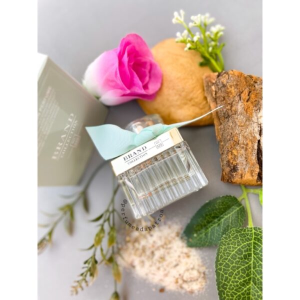 320 BRAND CHLOE NATURELLE - Imagem 2
